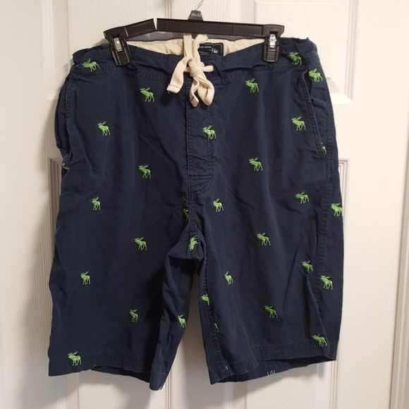 Abercrombie & Fitch Other - Abercrombie and Fitch casual moose shorts